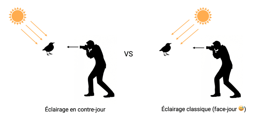 Technique photo contre-jour